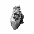 heart AKIKO
